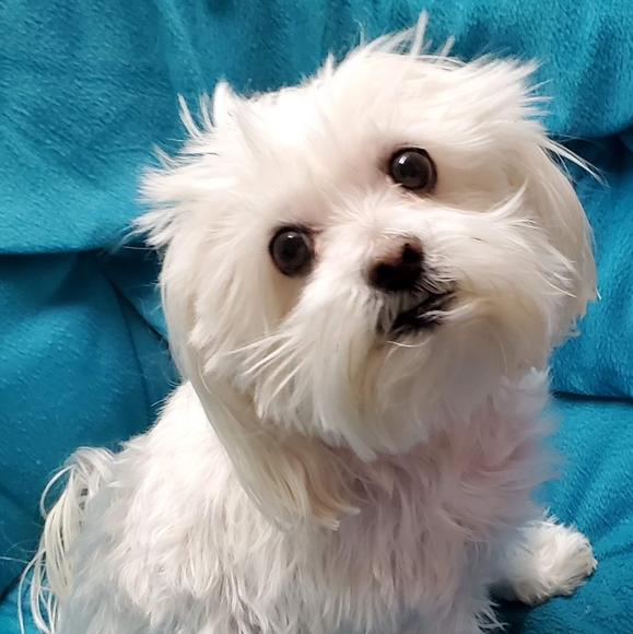 Meet your Posher, Jaime - Picture 3 of 16